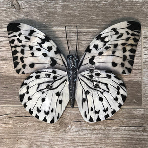 Butterfly Wall Decor Black And White