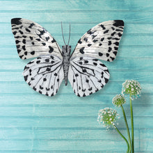 Load image into Gallery viewer, Butterfly Wall Decor Black And White
