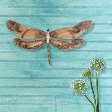 Load image into Gallery viewer, Dragonfly Wall Decor Earthtoned
