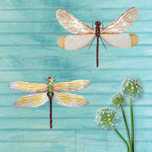 Load image into Gallery viewer, Dragonfly Wall DecorWhite And Brown
