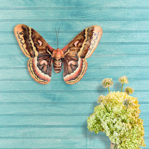 Butterfly Wall Decor Brown Multi Color